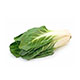 Bok Choy