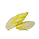 Endive, Belgian