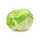 Cabbage, Green