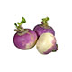 Turnips