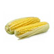 Corn on the Cob