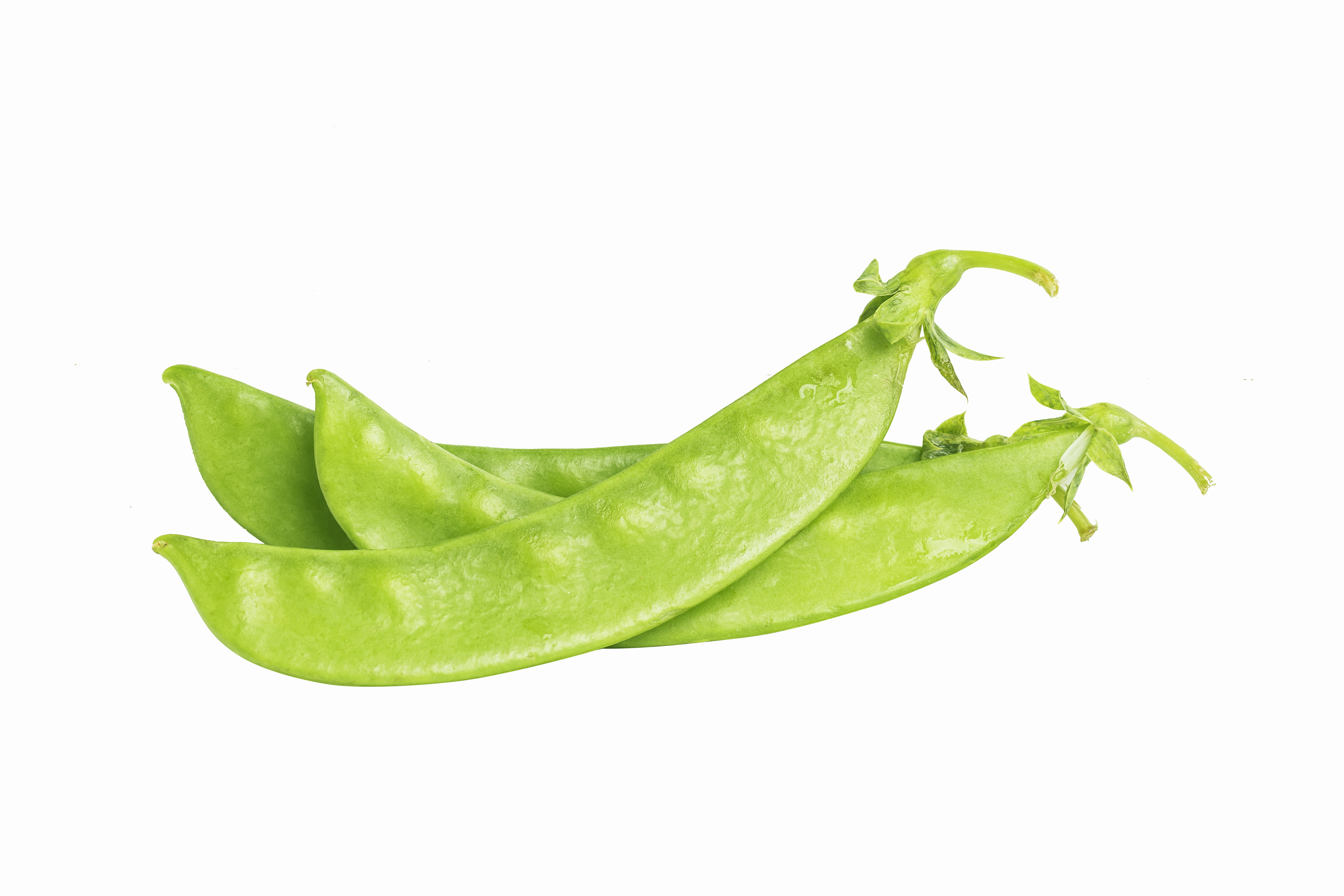 Sugar Snap/Snow Peas