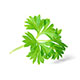 Parsley