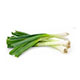 Scallions